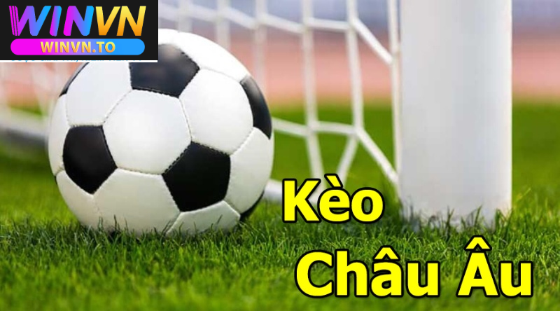 Kèo Châu Âu Winvn– Cá Cược Cực Hay 2025 3 Kinh nghiệm chơi Kèo Châu Âu Winvn hiệu quả