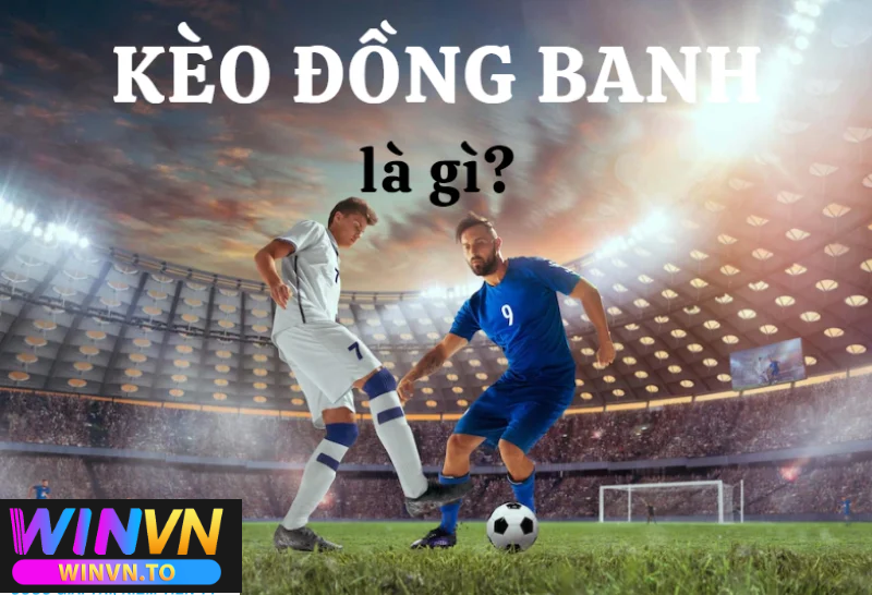 Kèo Đồng Banh Và Cách Chơi Kèo Đồng Banh Hay Tại Winvn 2025 3 Đặc điểm nổi bật khi tìm hiểu kèo đồng banh là gì?